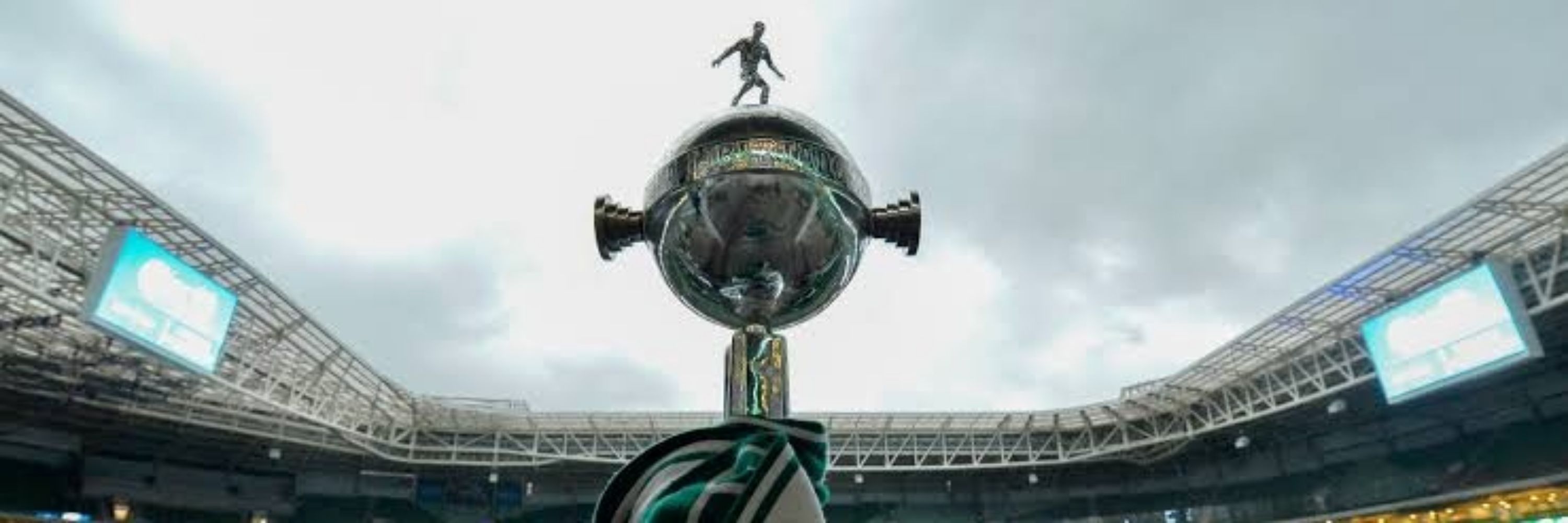 cucatti 12×🏆