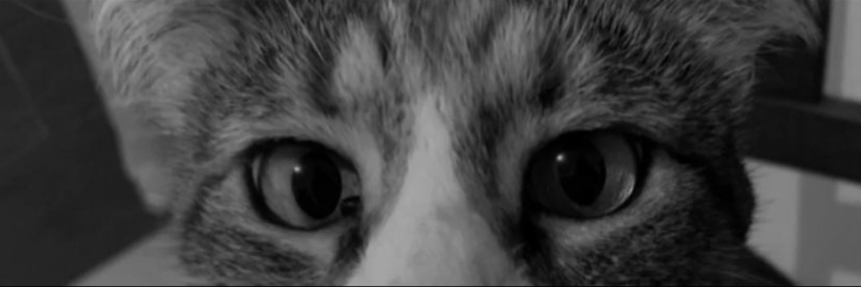 m.