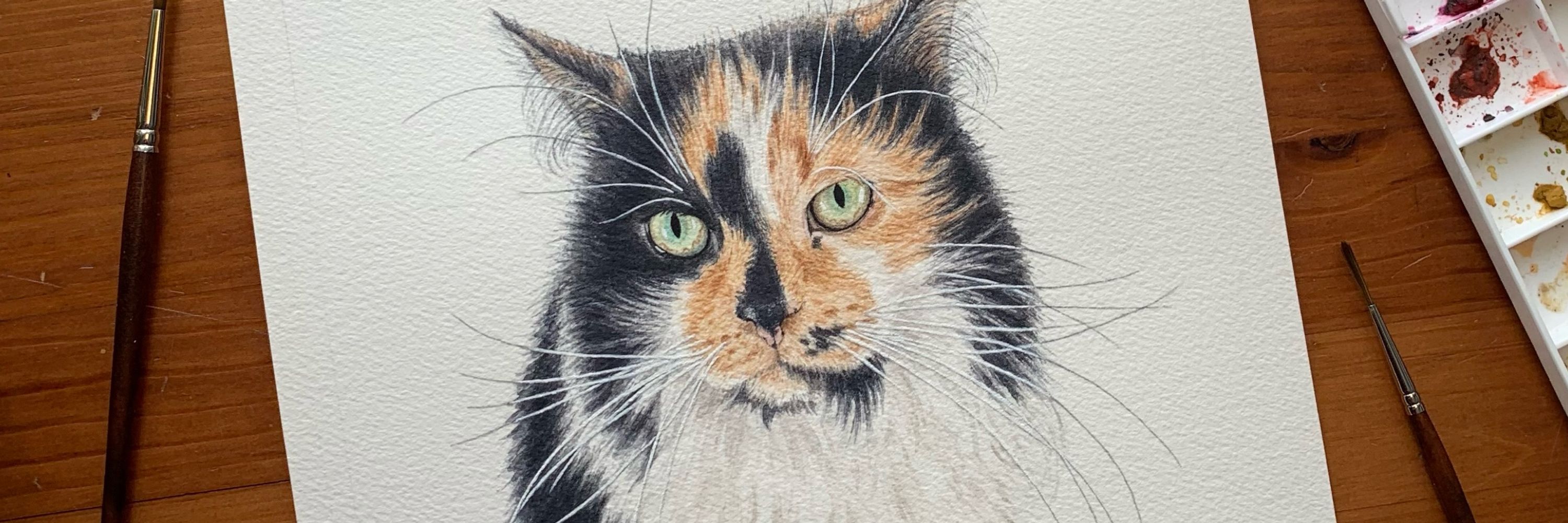 Marie-Andree Marchand