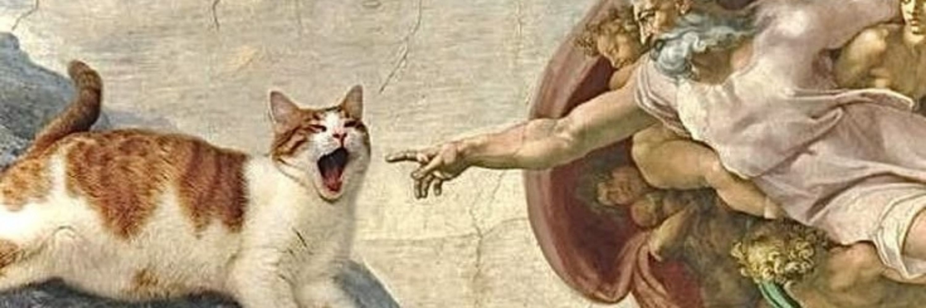 ⋆.✧̣̇ ⲃⲕⲩⲥⲏыύ ⲥⲟⲏ [🥞]