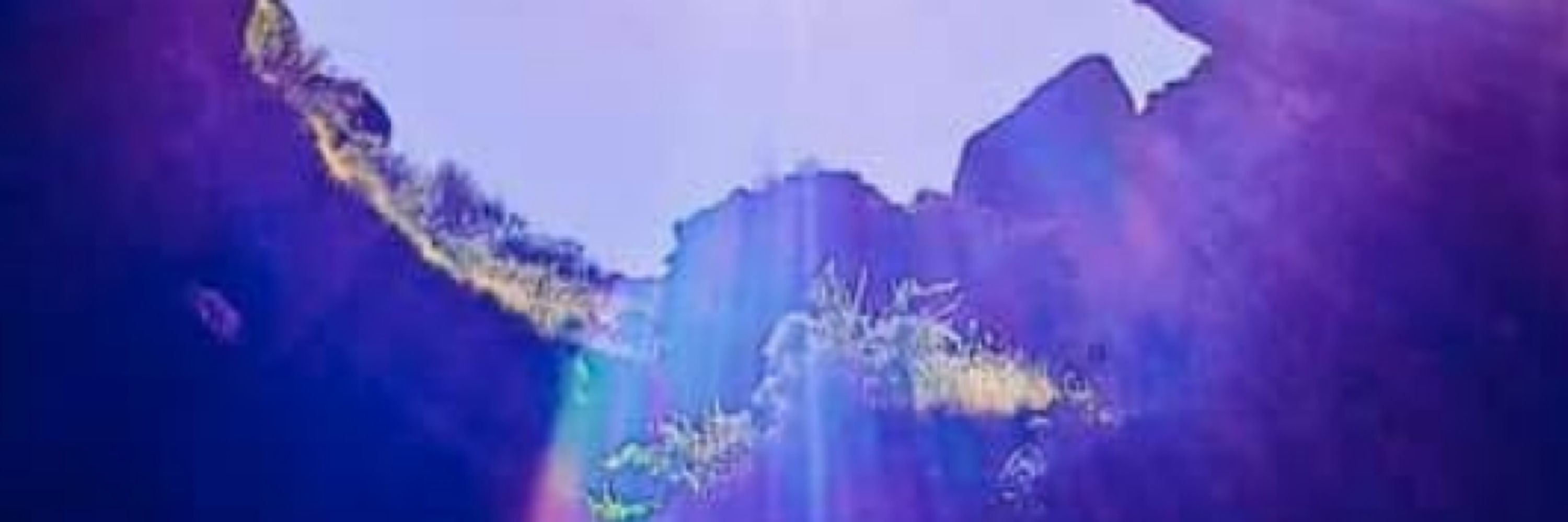 bluejade