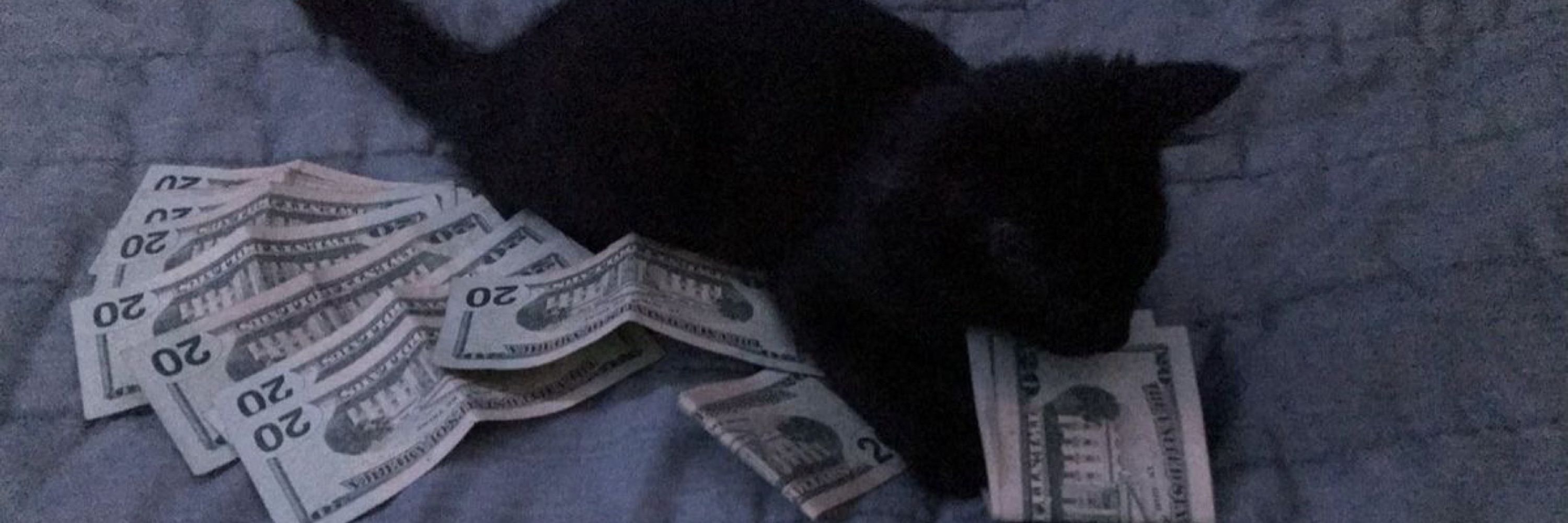 🐈‍⬛