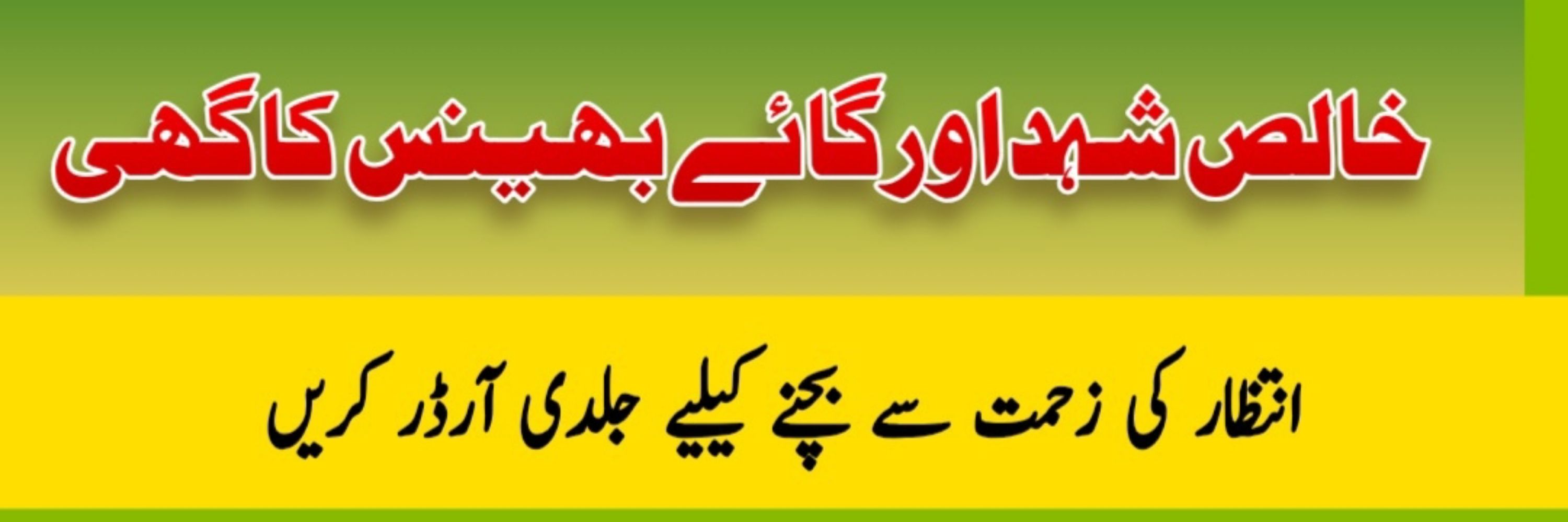 ShahbazWrites