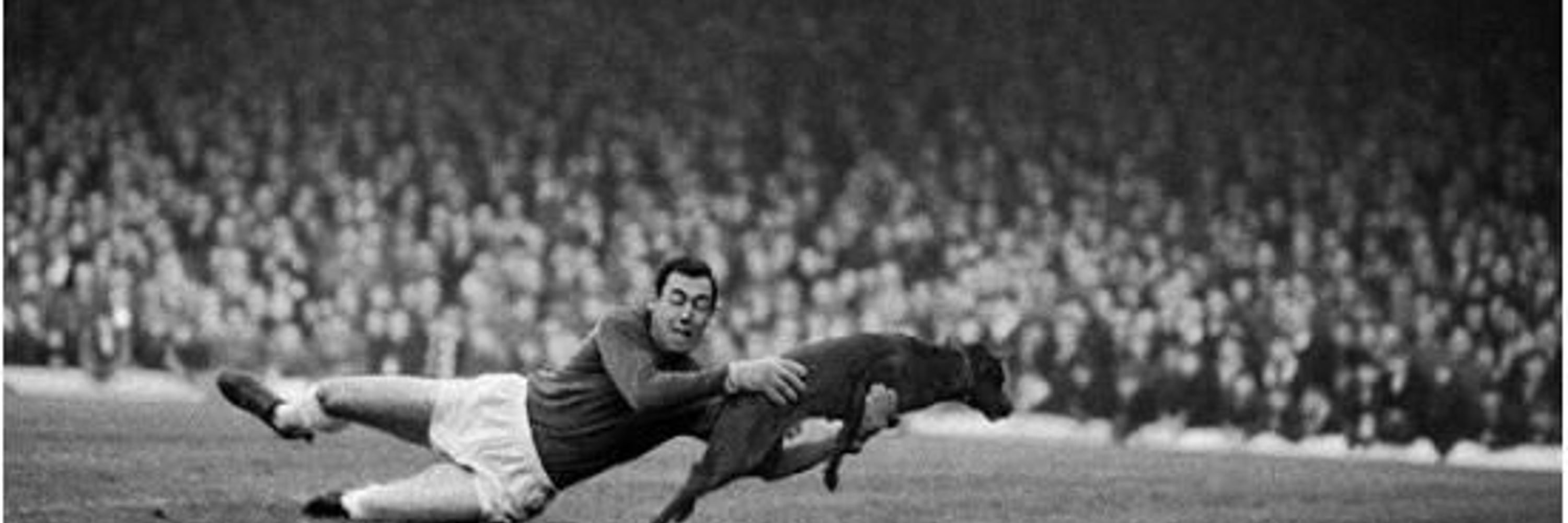 Pete Jones