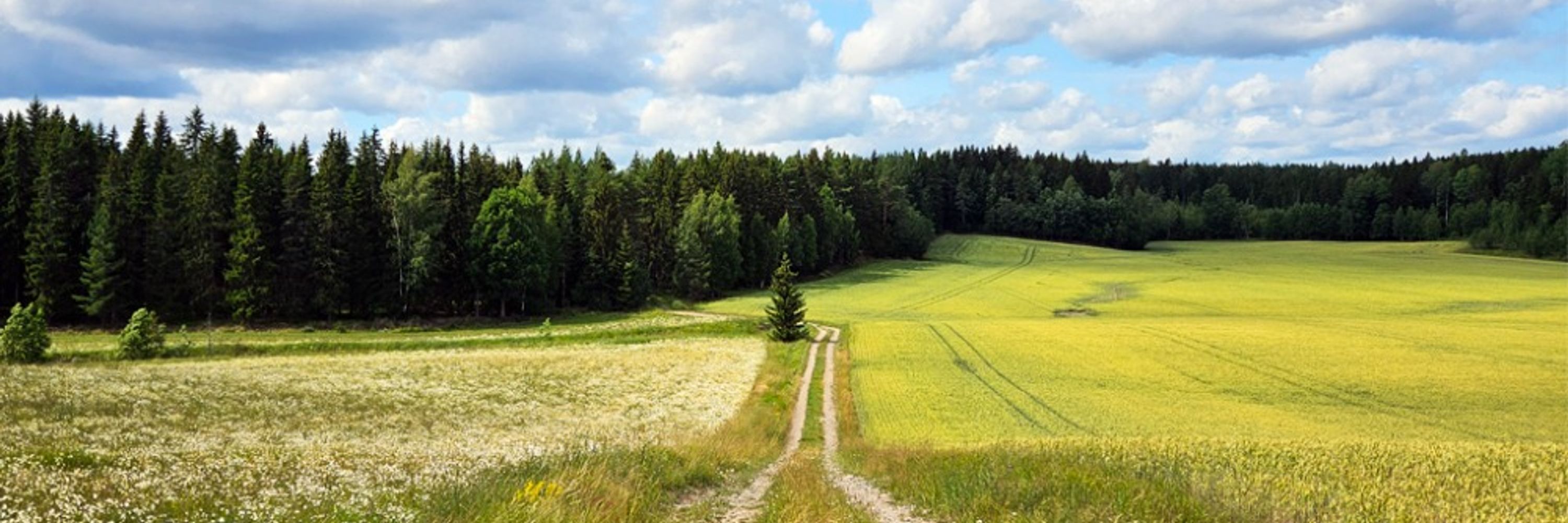 Jukka-Pekka Ronkainen