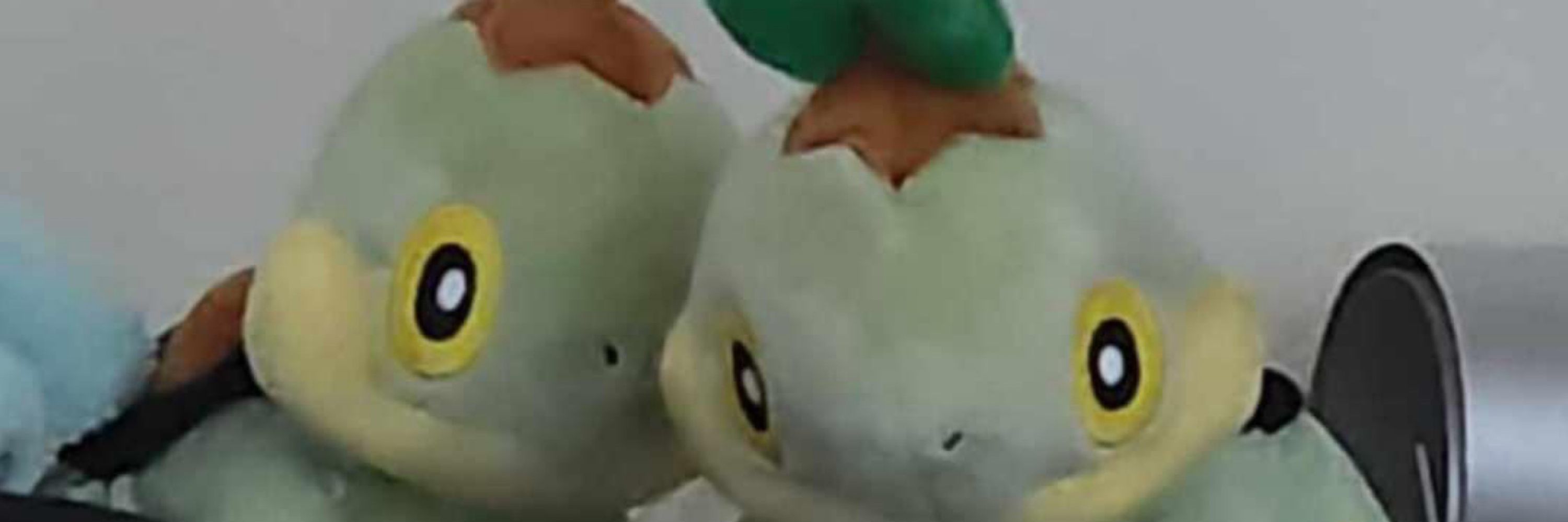 Yoloswagsenpai