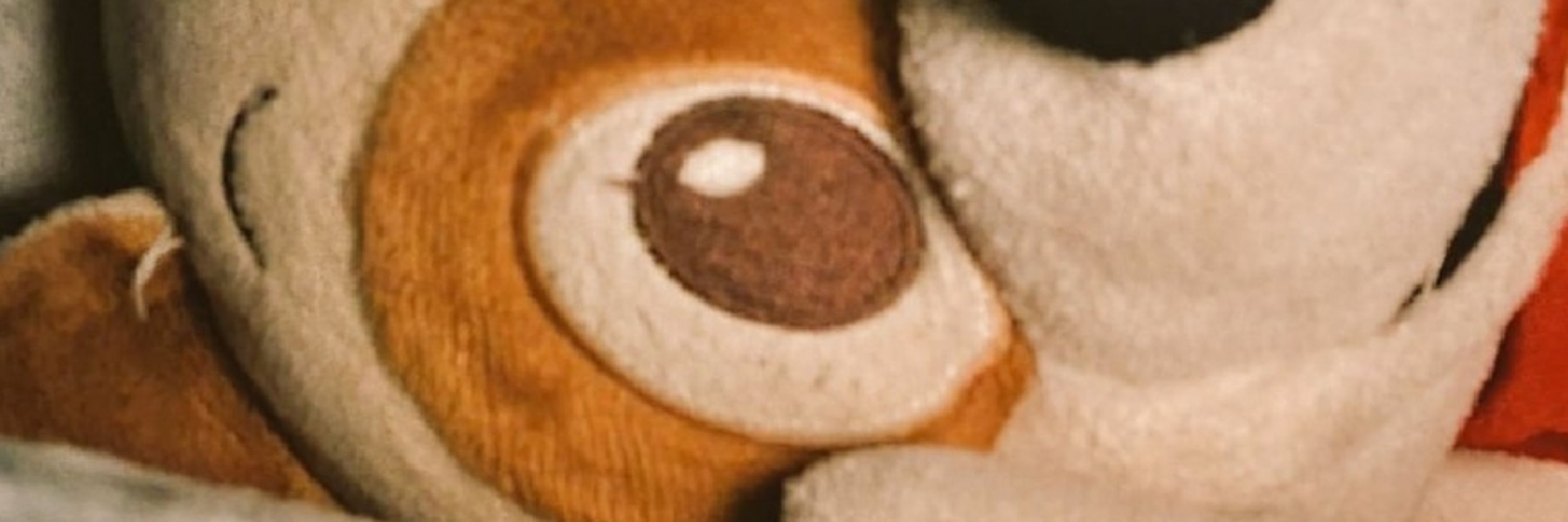 영 0