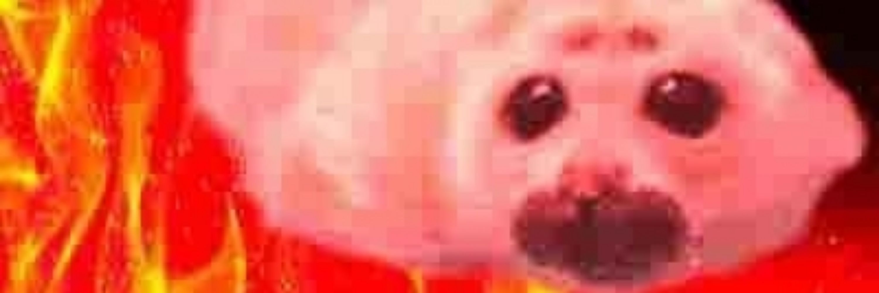 fwan