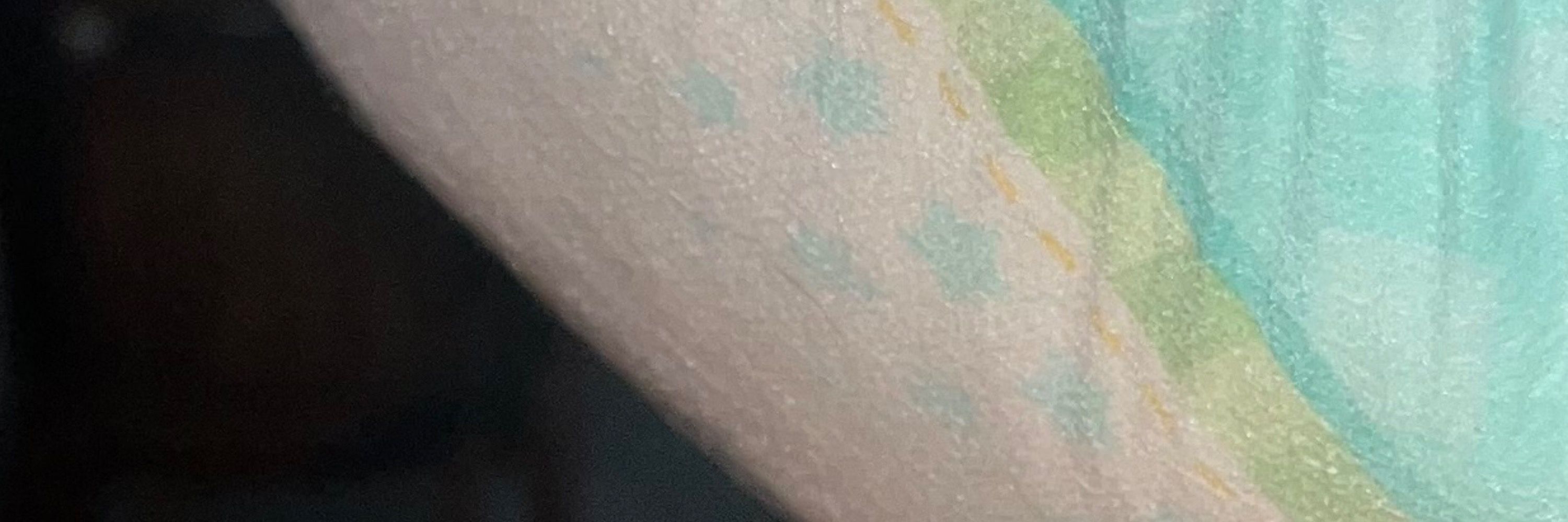 ddiaperdan
