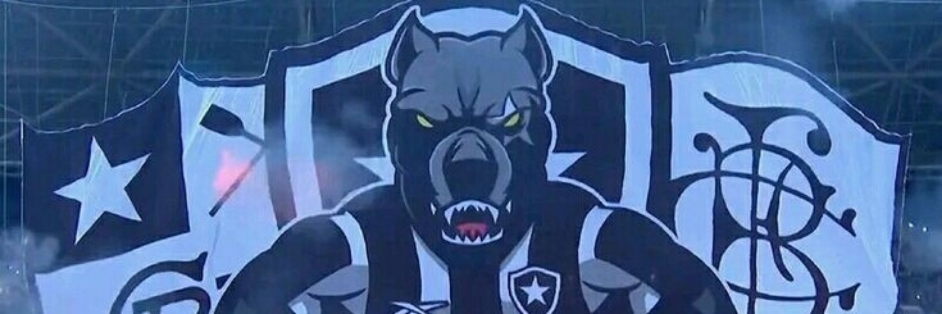Botafogo cultura alvinegra
