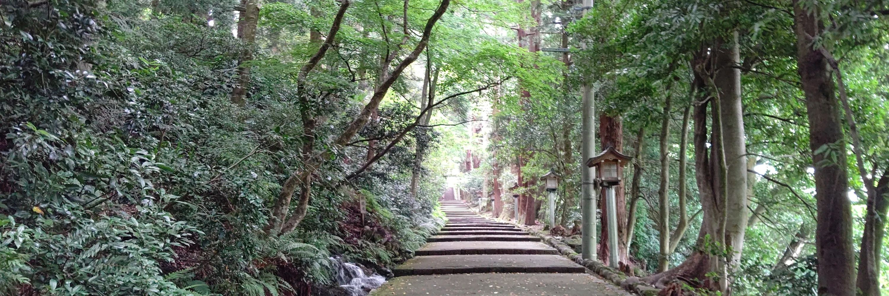 枝理:moyashiashi_blobcat_dance: