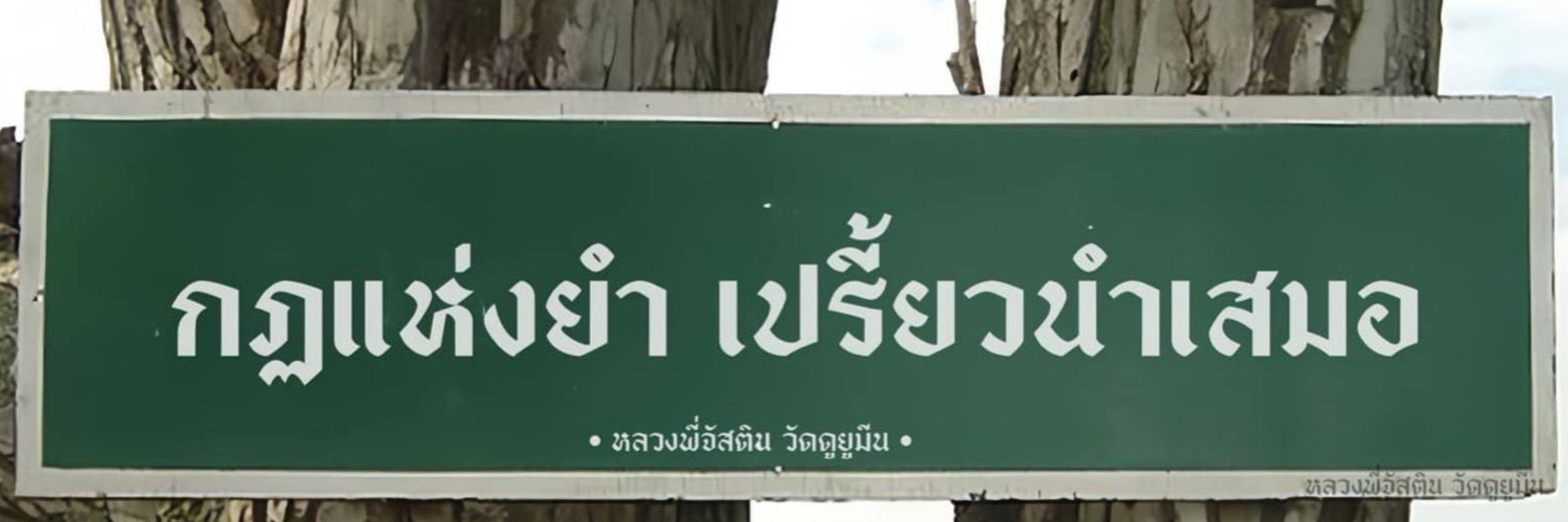 กแน็บหนิว 🥔 보보