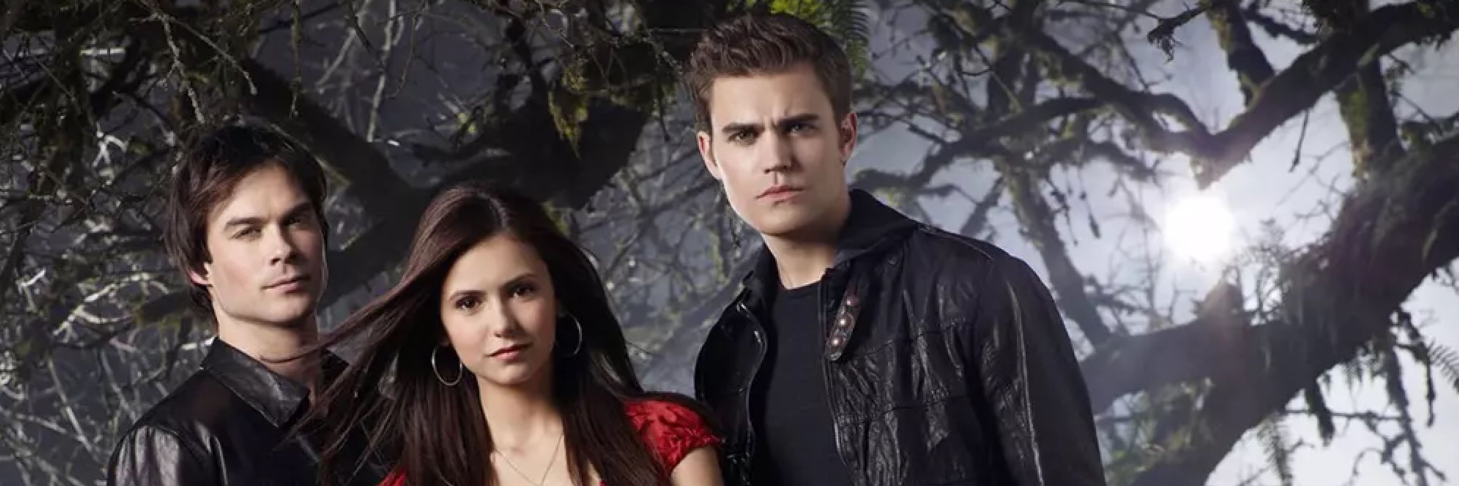 VAMPIRE DIARIES STAN