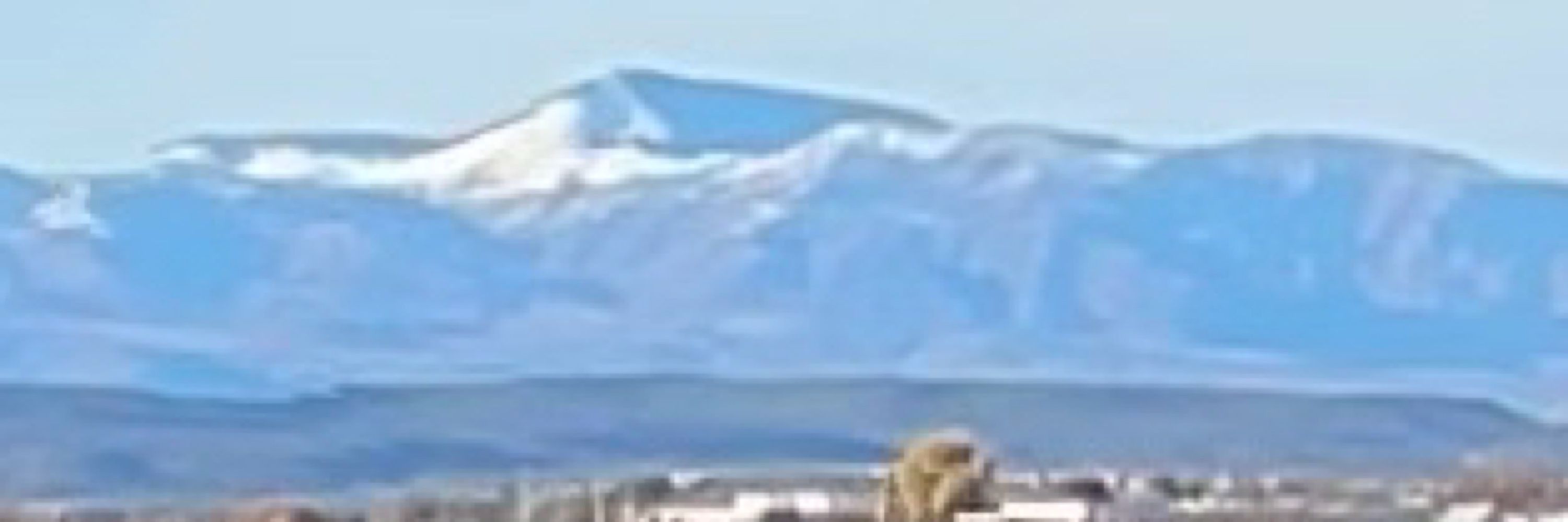 Preston