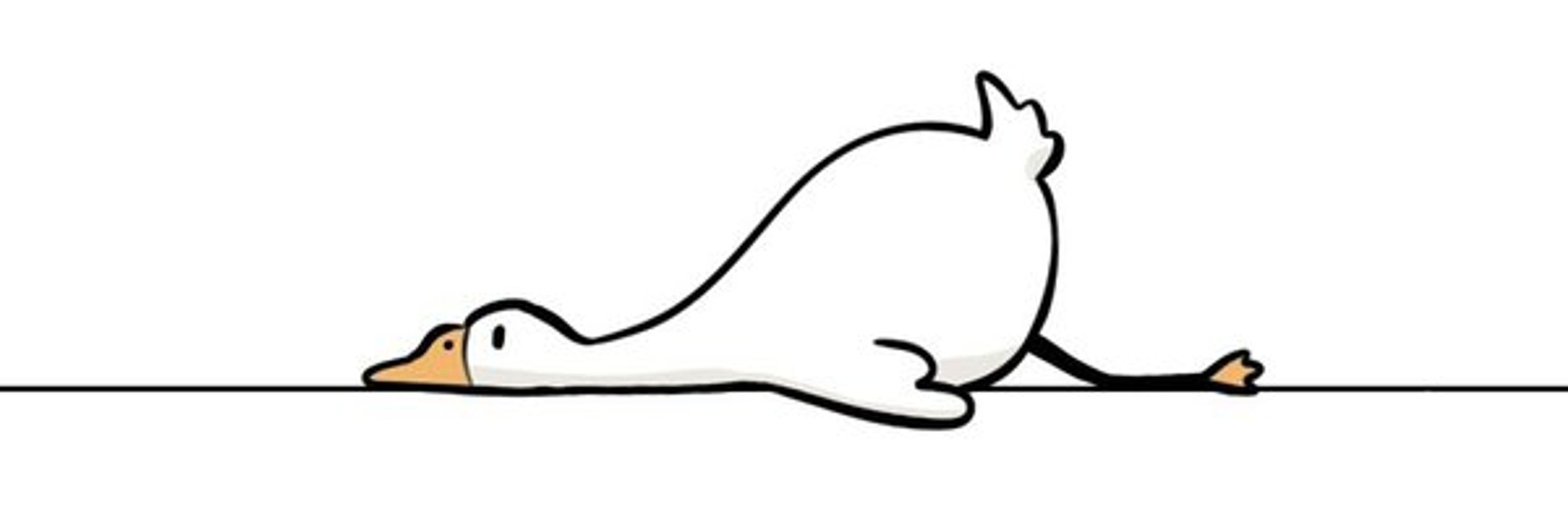 路过一只流浪猫