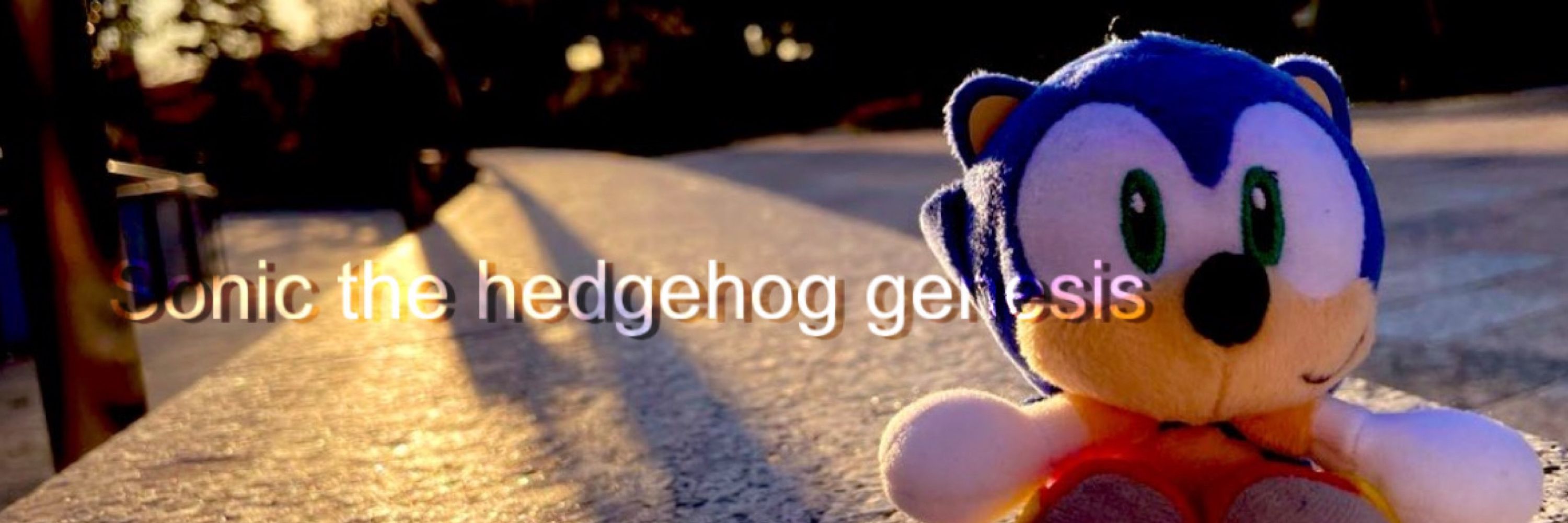 Sonic The hedgehog Genesis (parody)