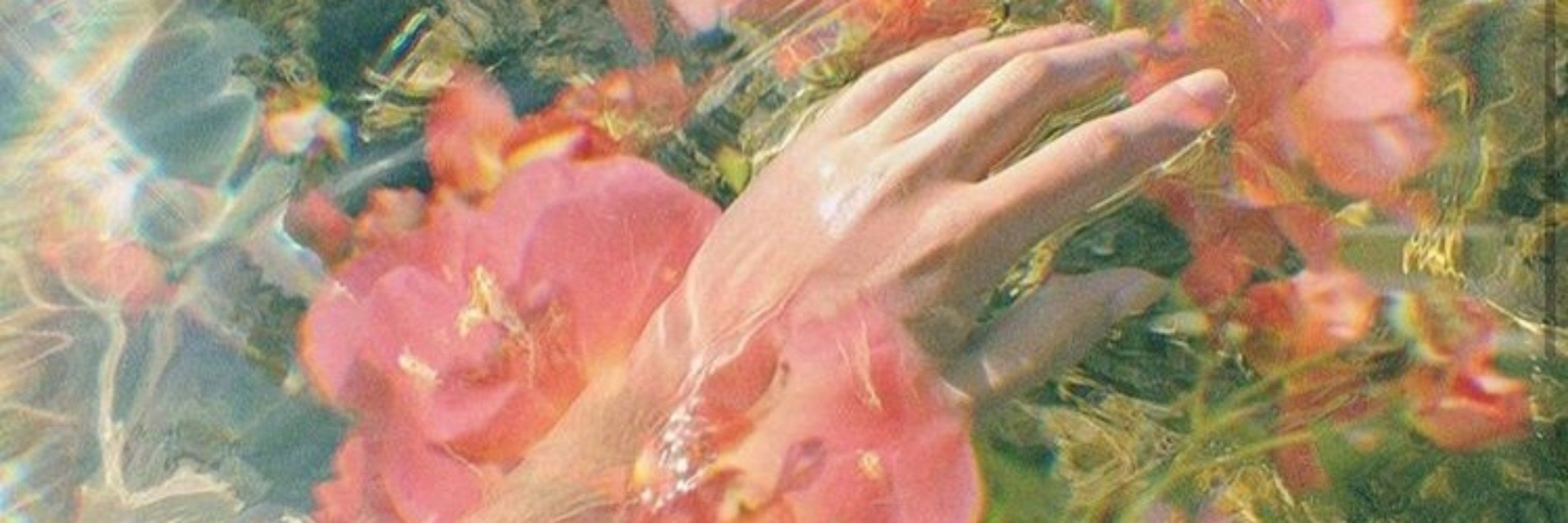 蓮花🪷🇨🇦