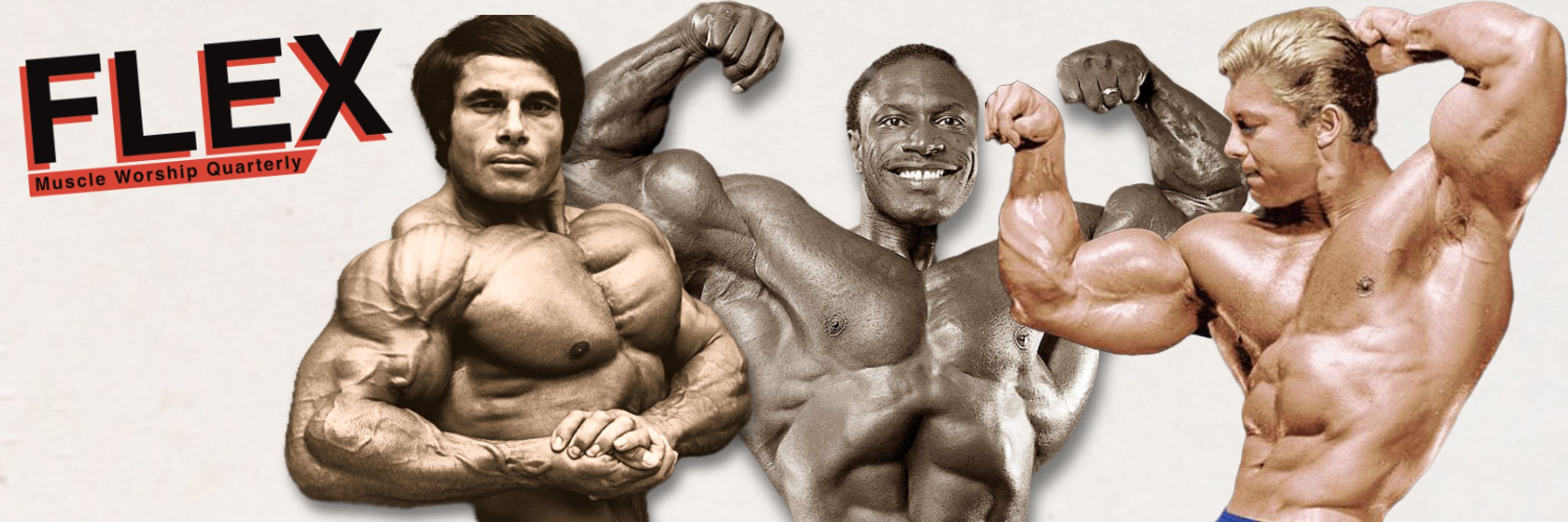 FLEX Party