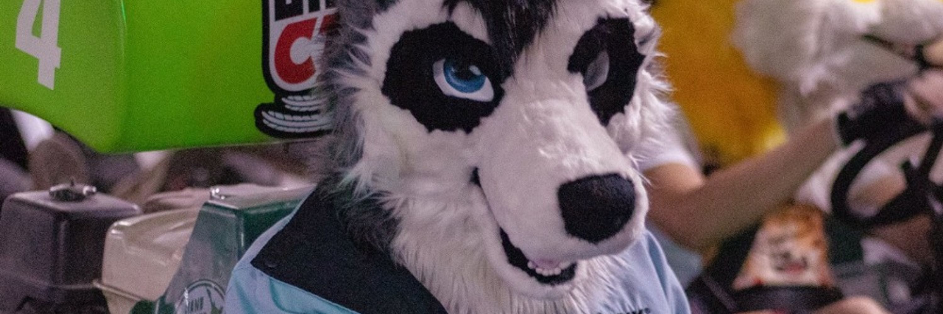 CTWolf