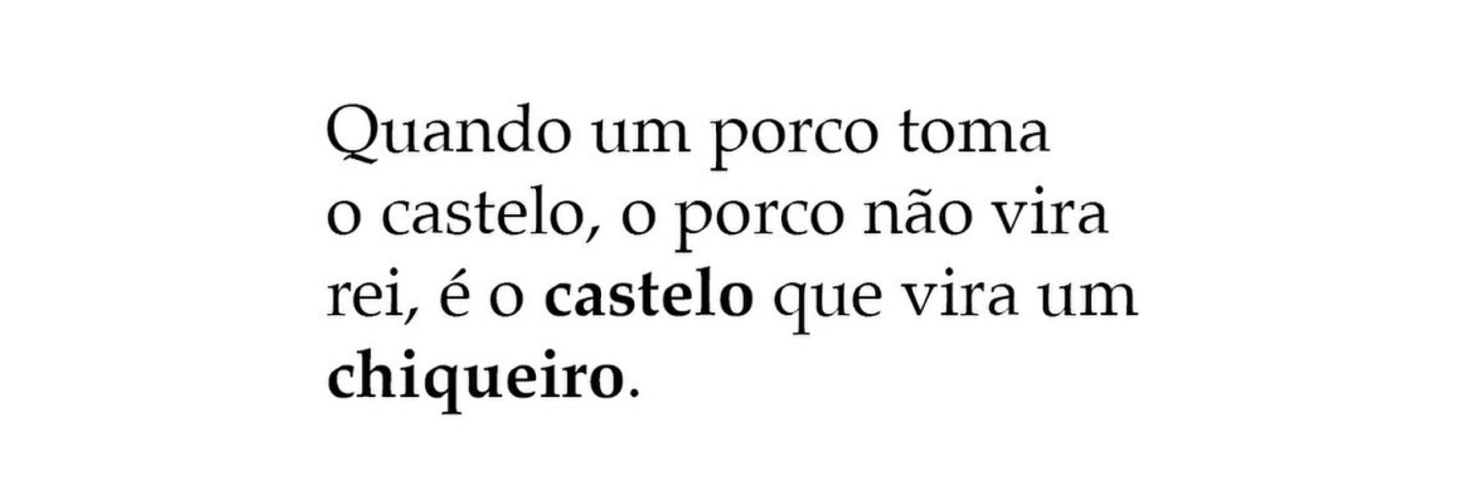 ray rocha 