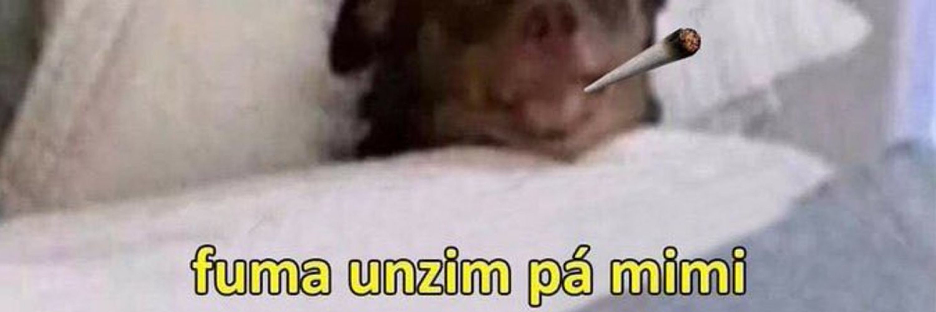 CajuziN
