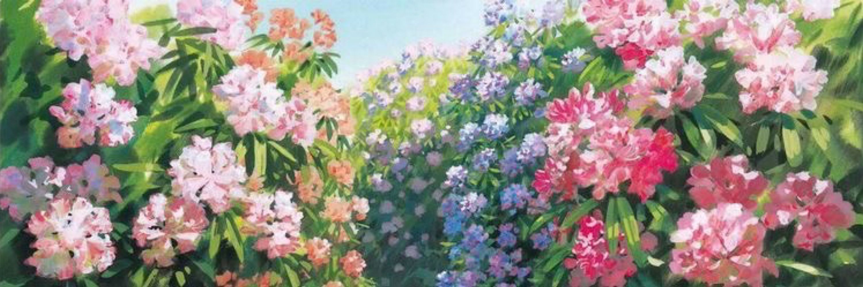 キティ  アラナ