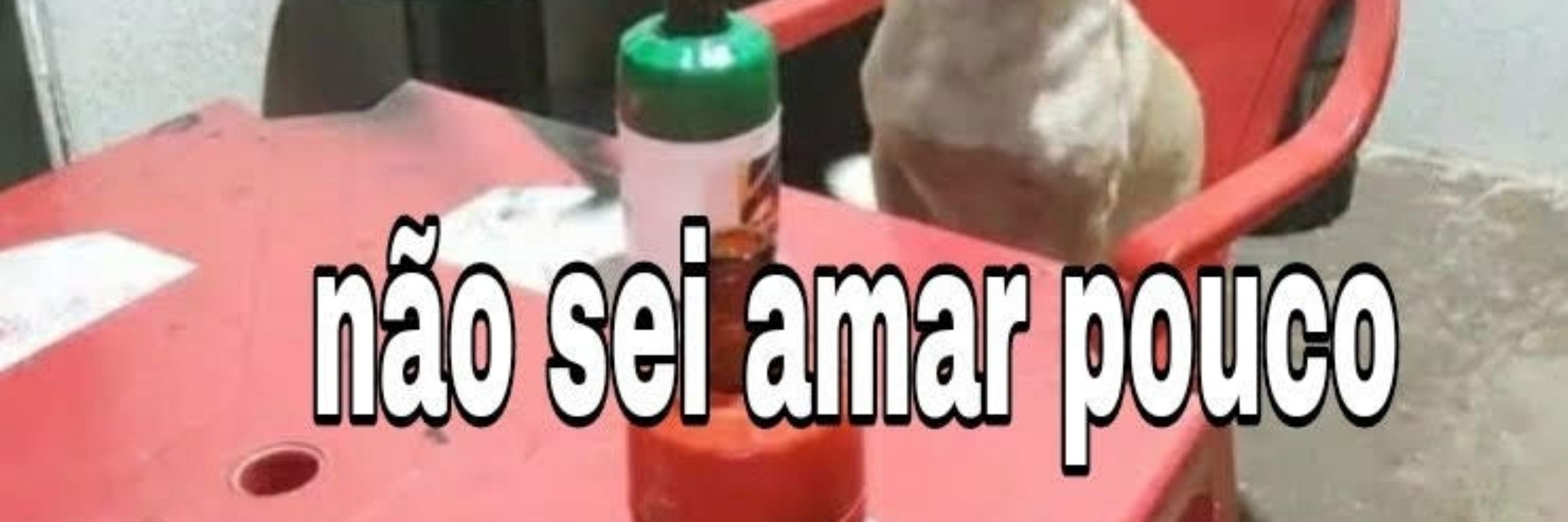 ministra da decepção 