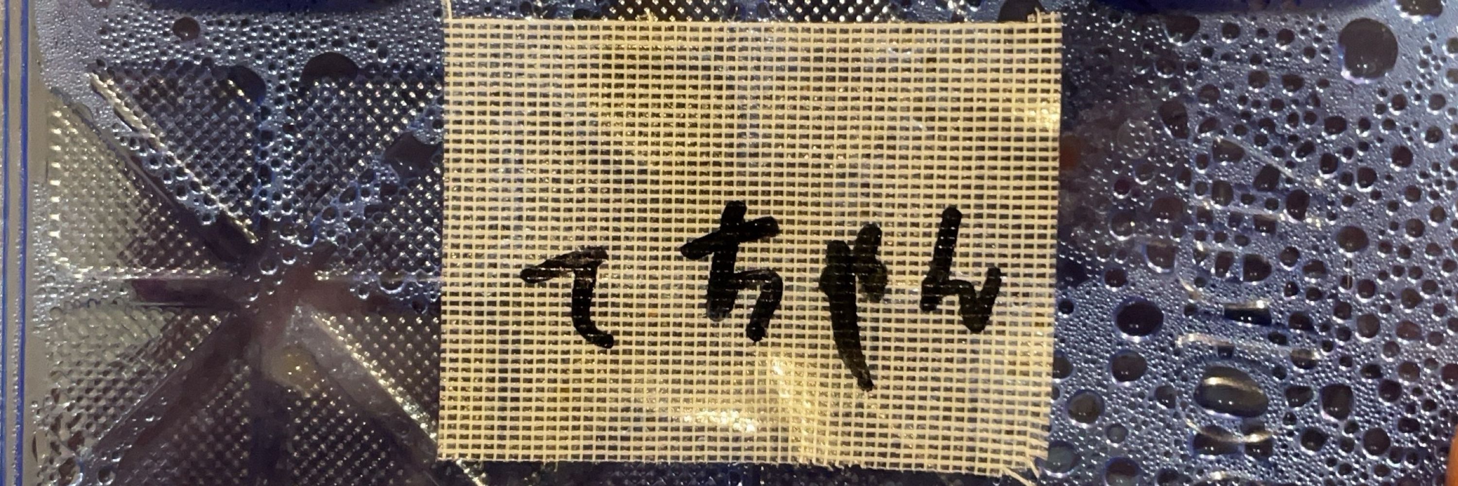 榊原徹士