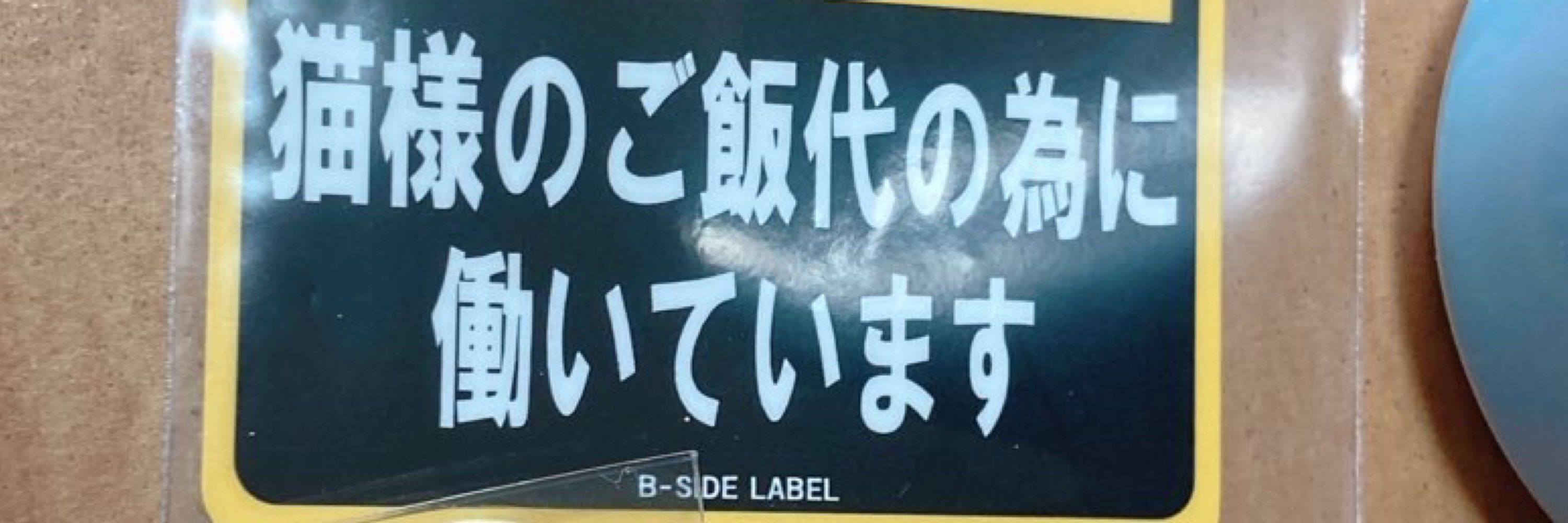 ラビス･ベレイ🎀🦑