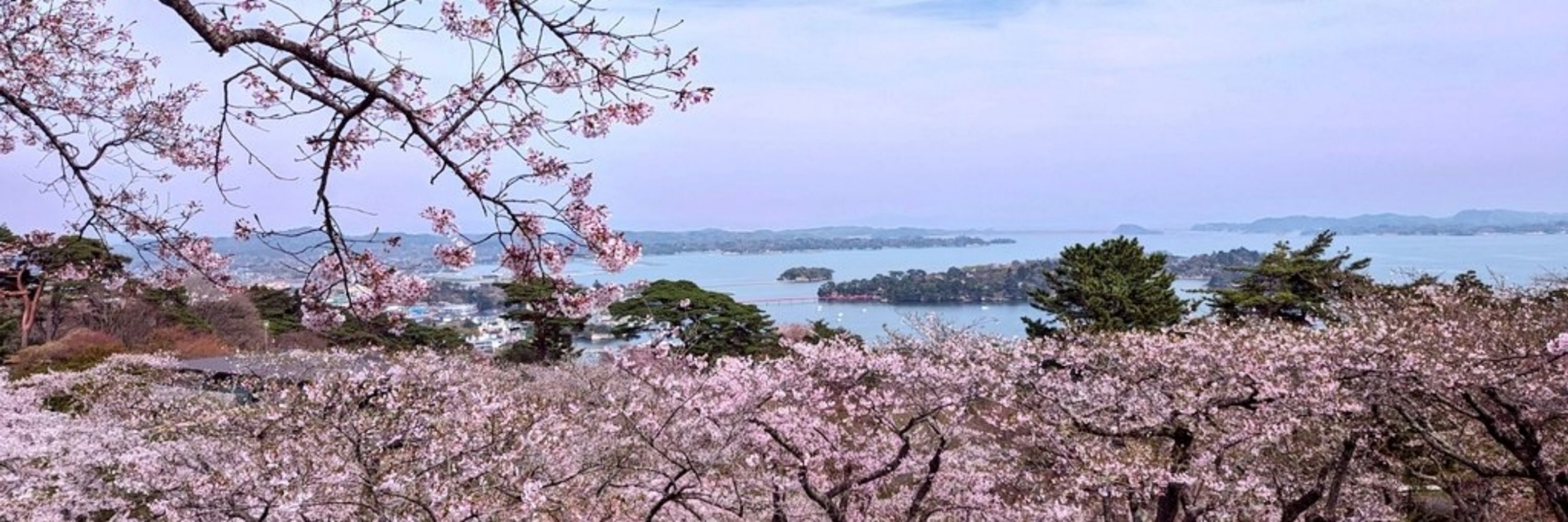 Takashi Goto