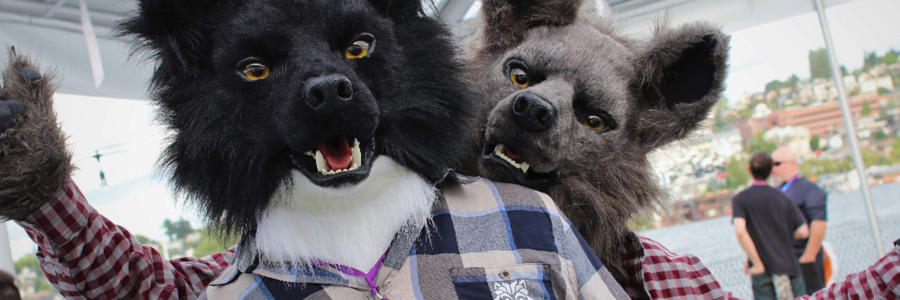 Timban Greywolf