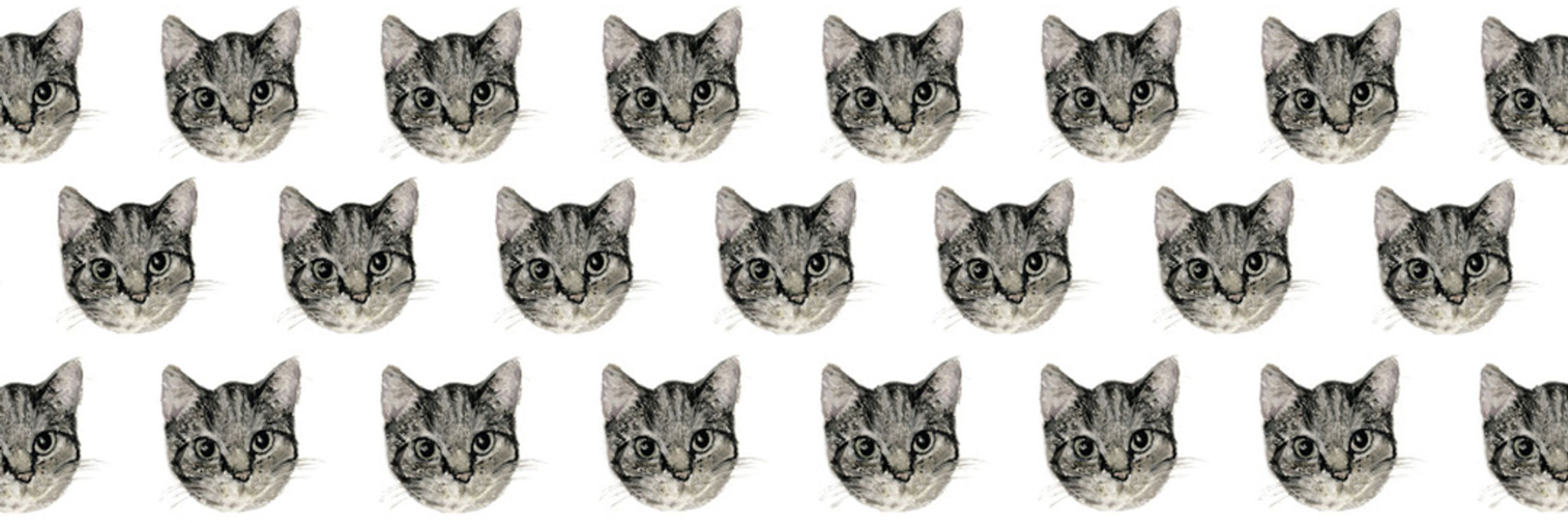 aud_gab