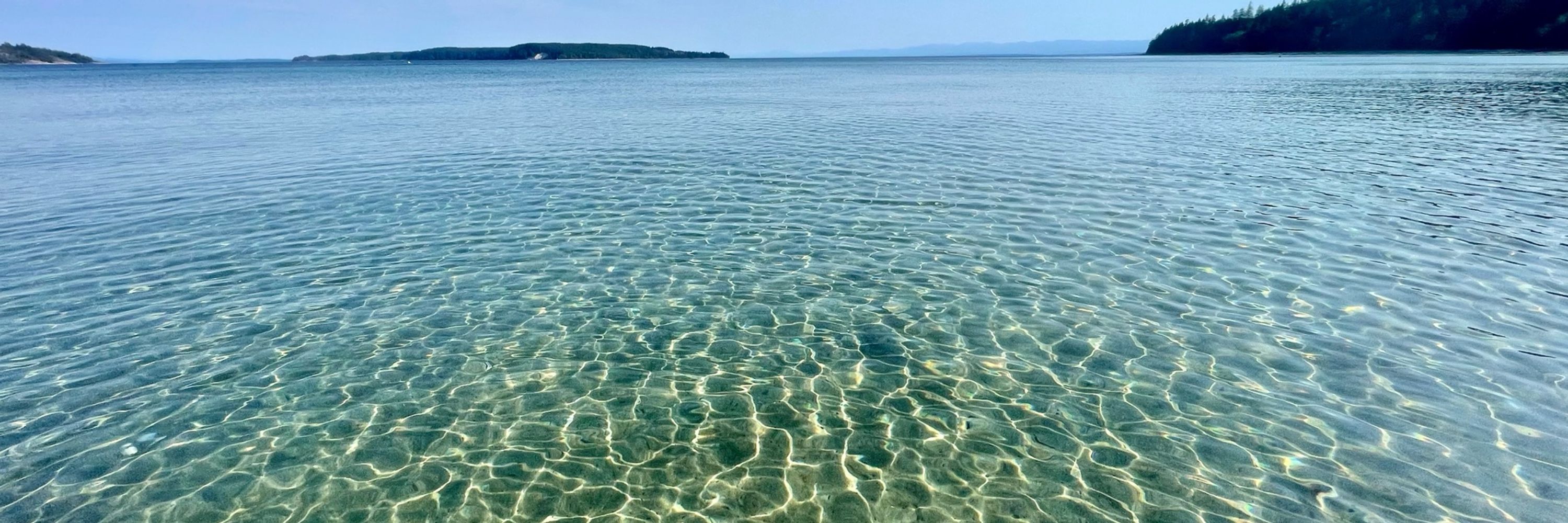 Island Vibes