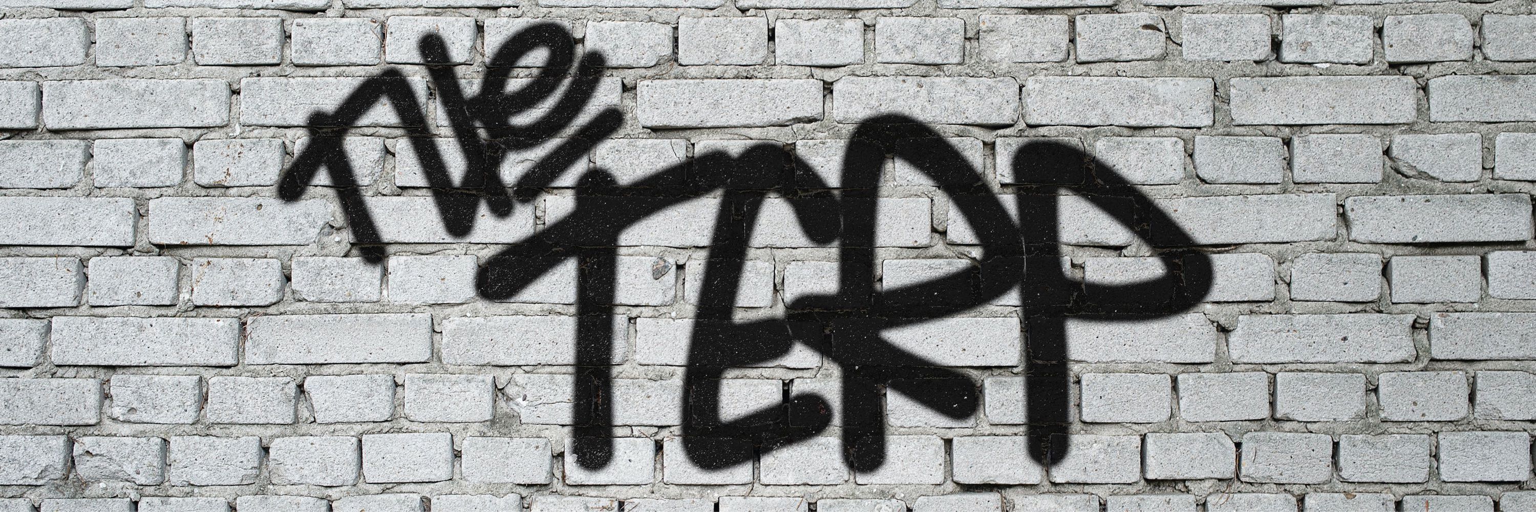 The_Terp