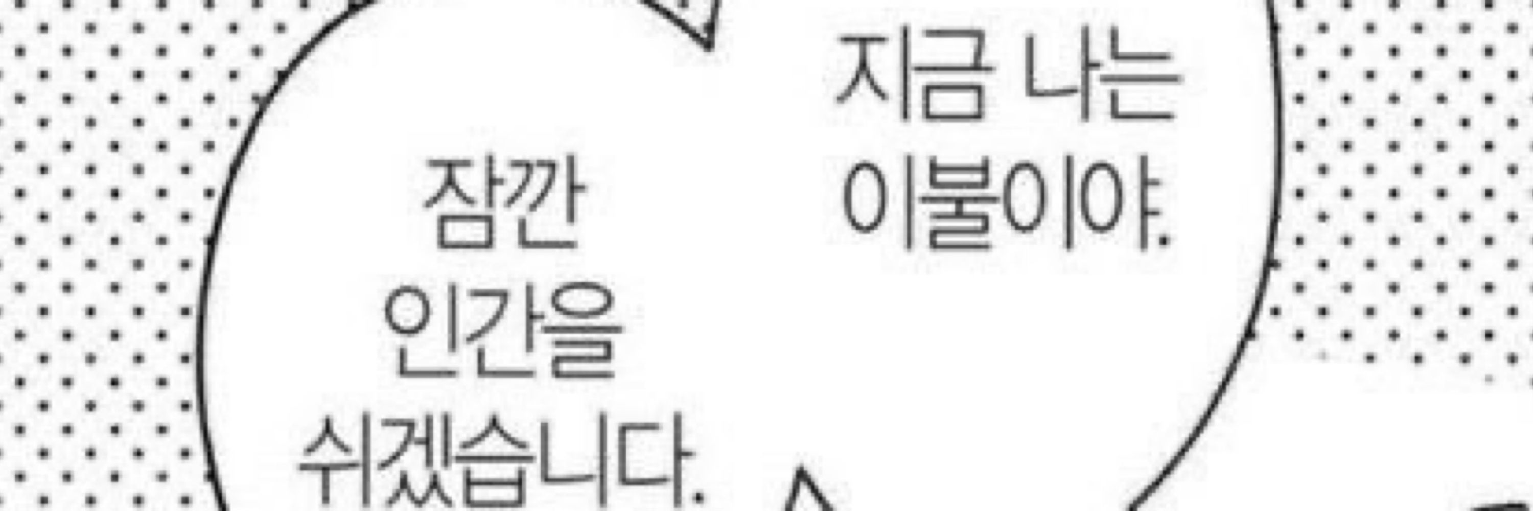 파이