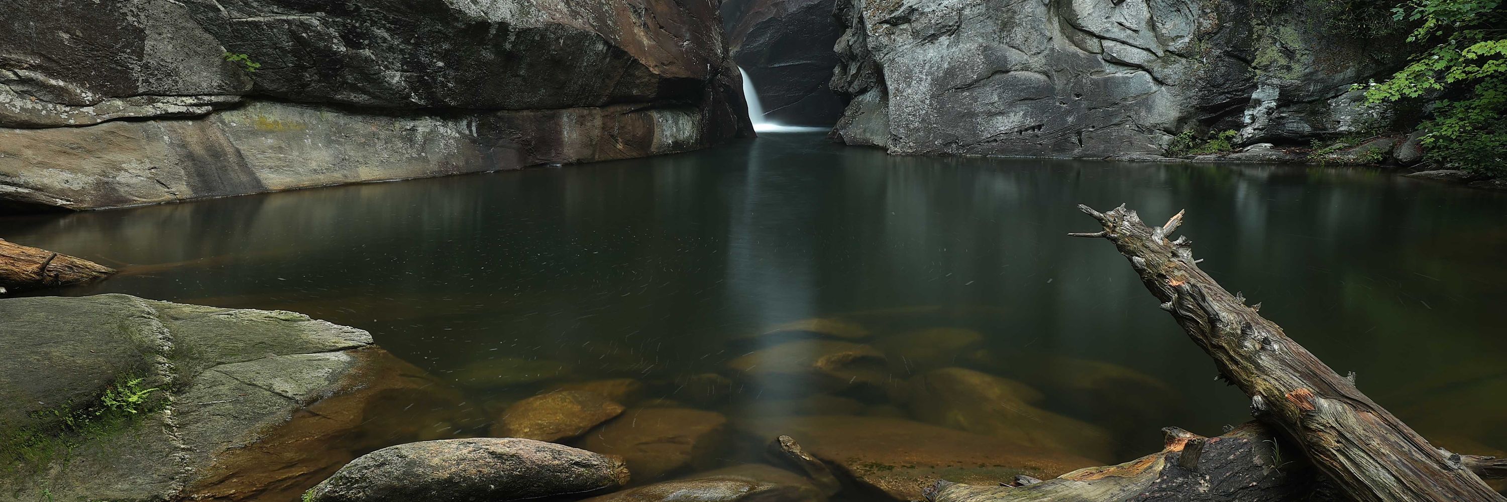 Darius Ollison Photography