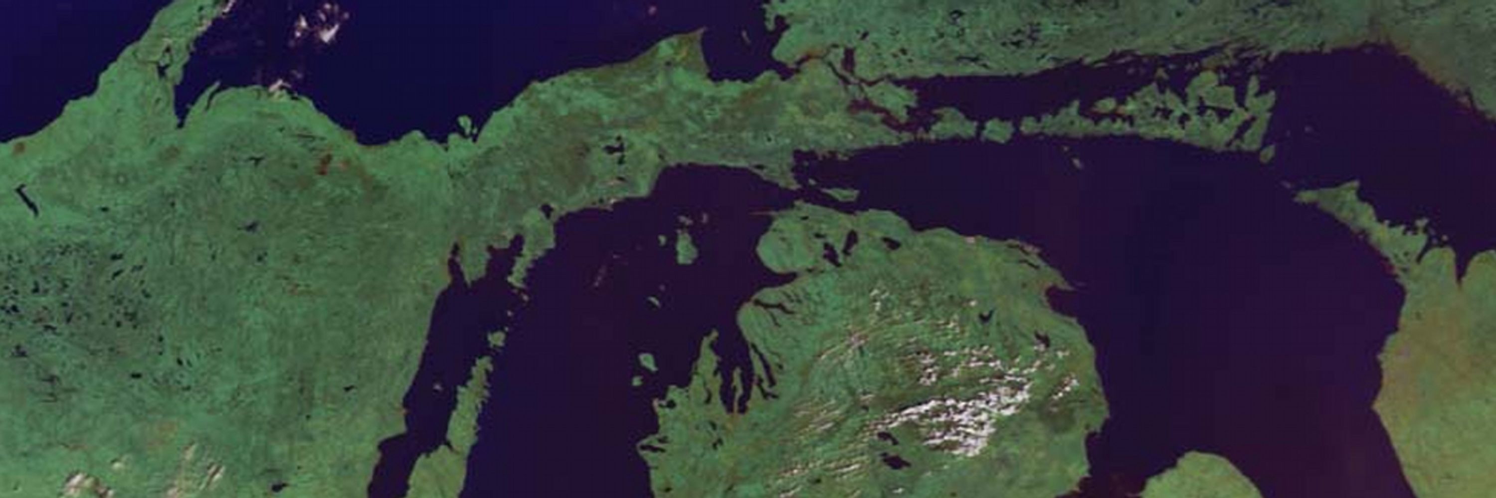 Up North Progressive