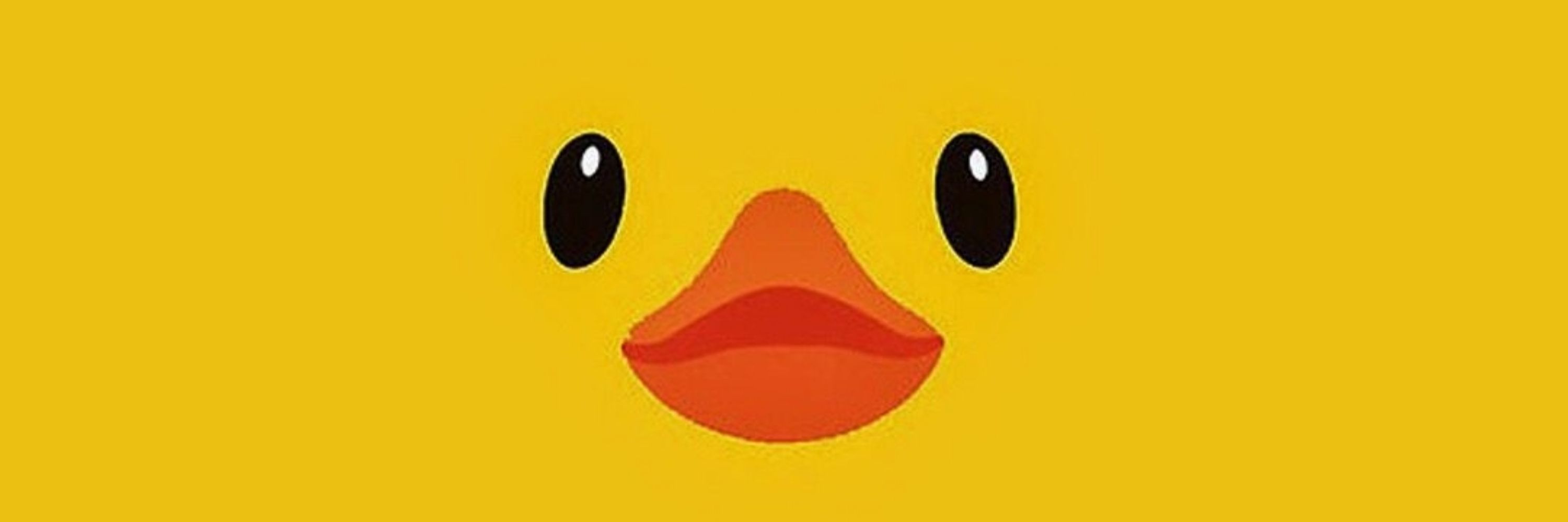 QuietDuck