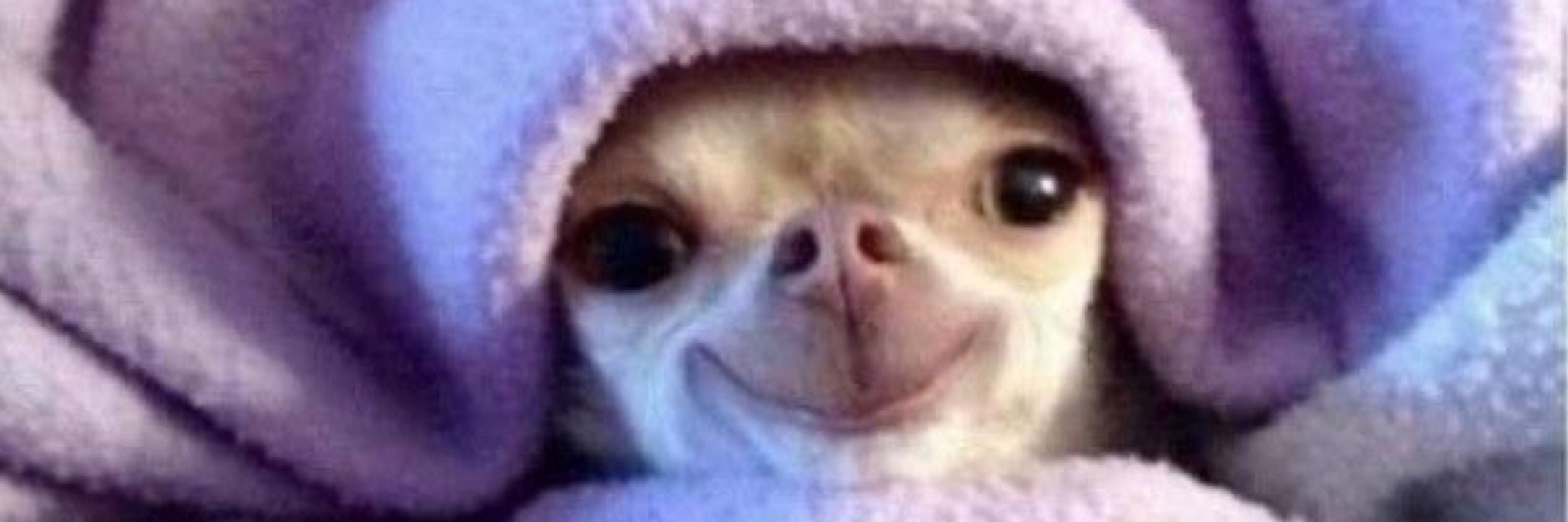 manfuinha