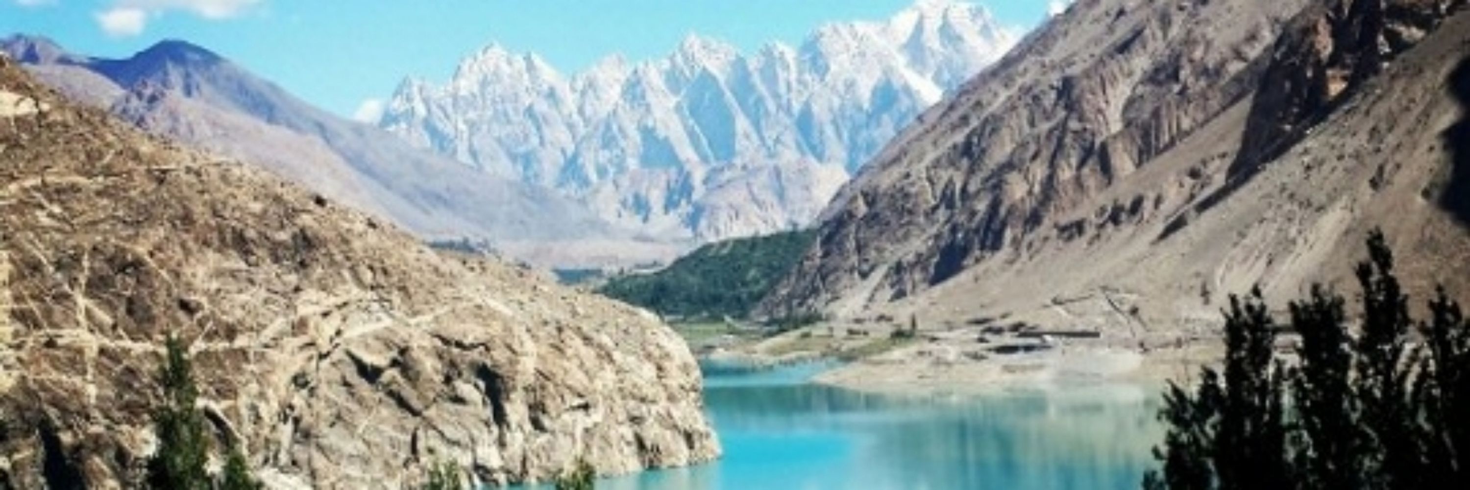 Shahid Shaikh