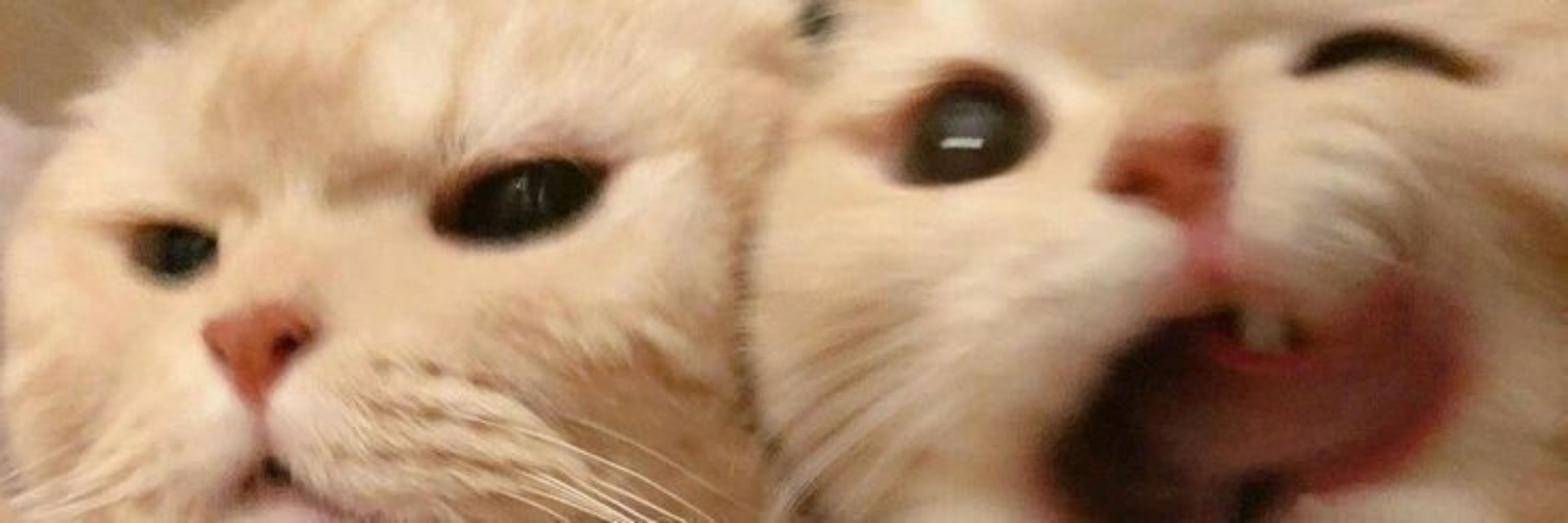 al
