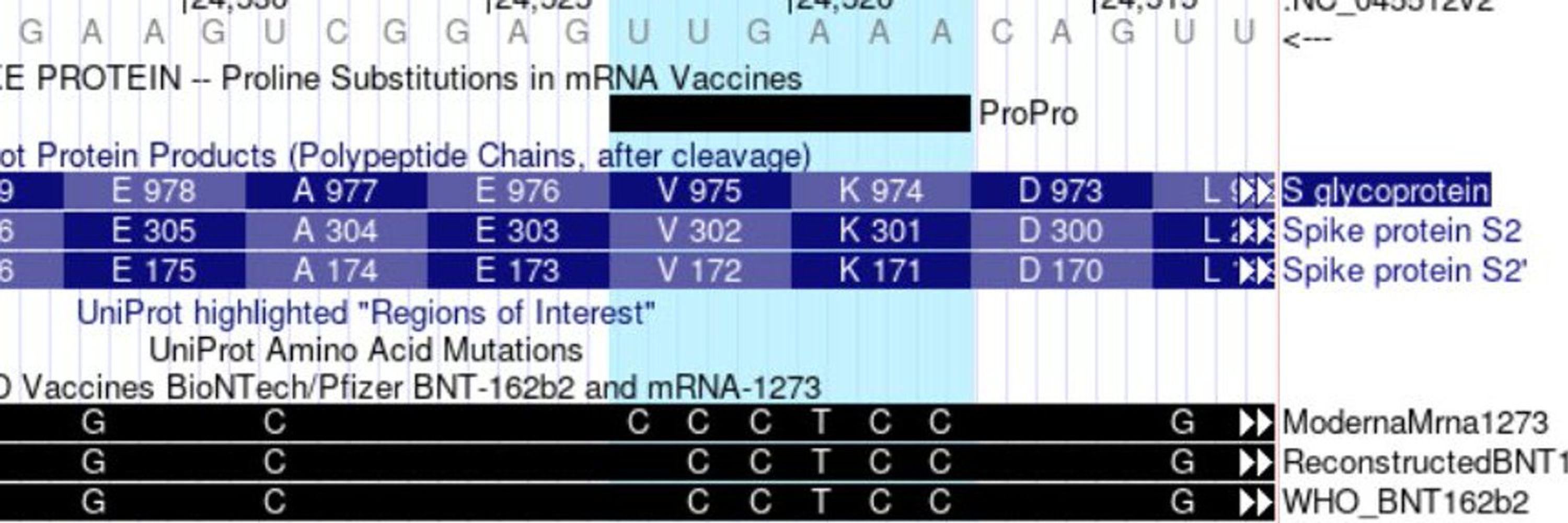 UCSC Genome Browser