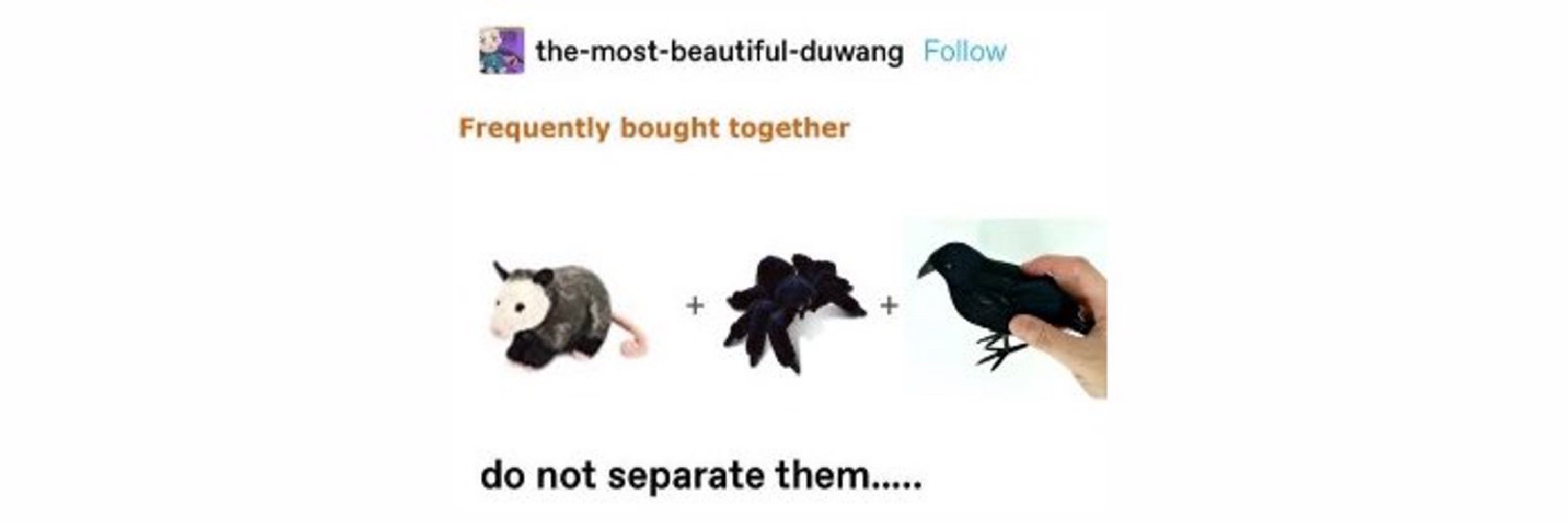 ♙ ♡ ♕