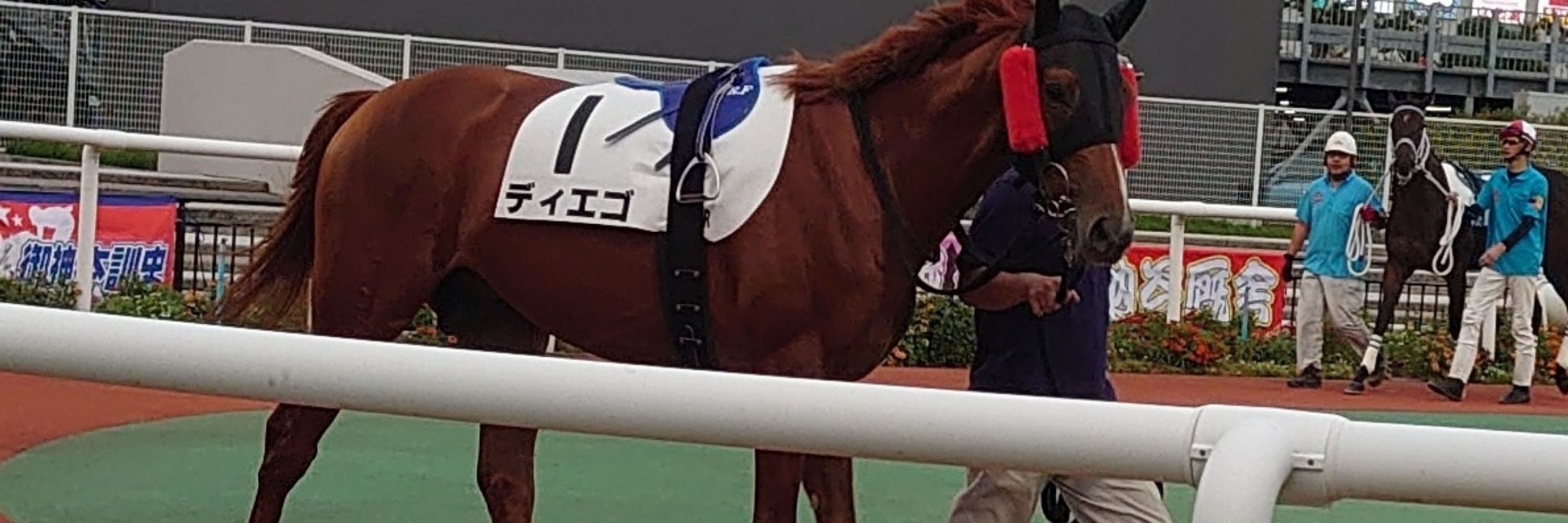 トーセン91🏇
