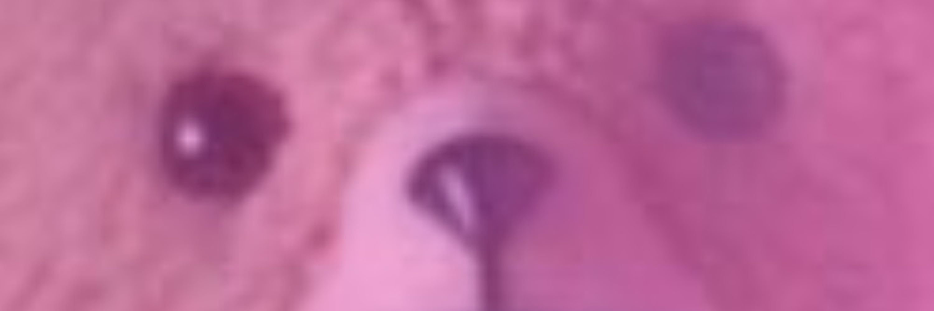 욕덩이