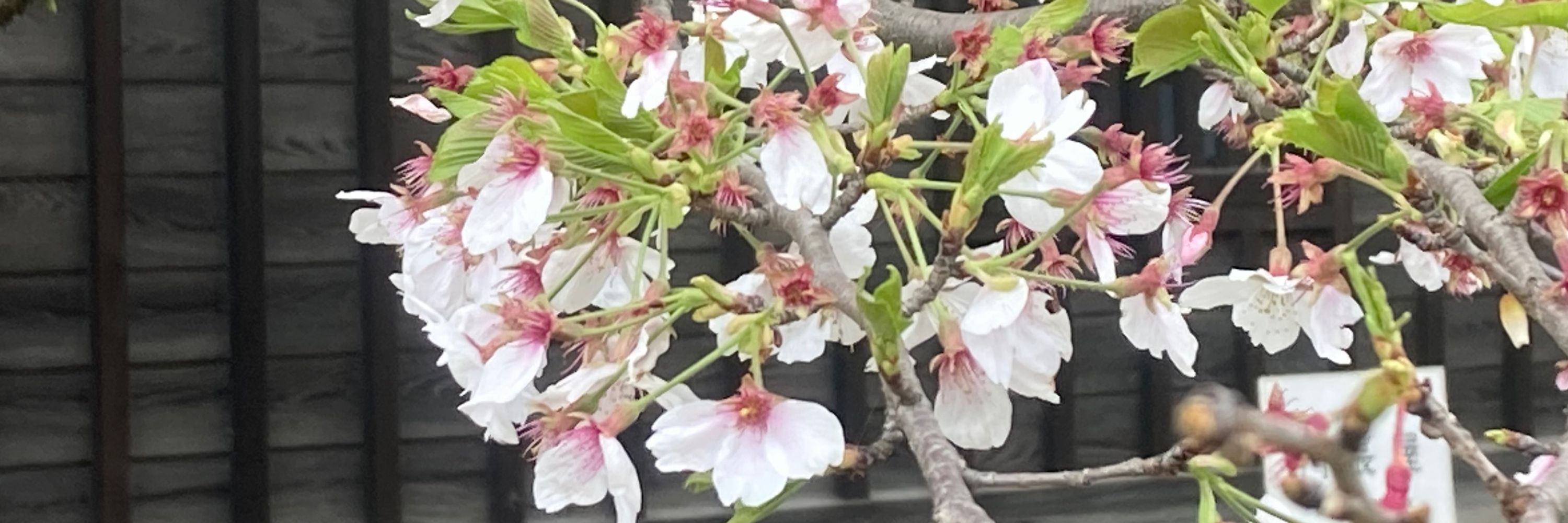 まっつん