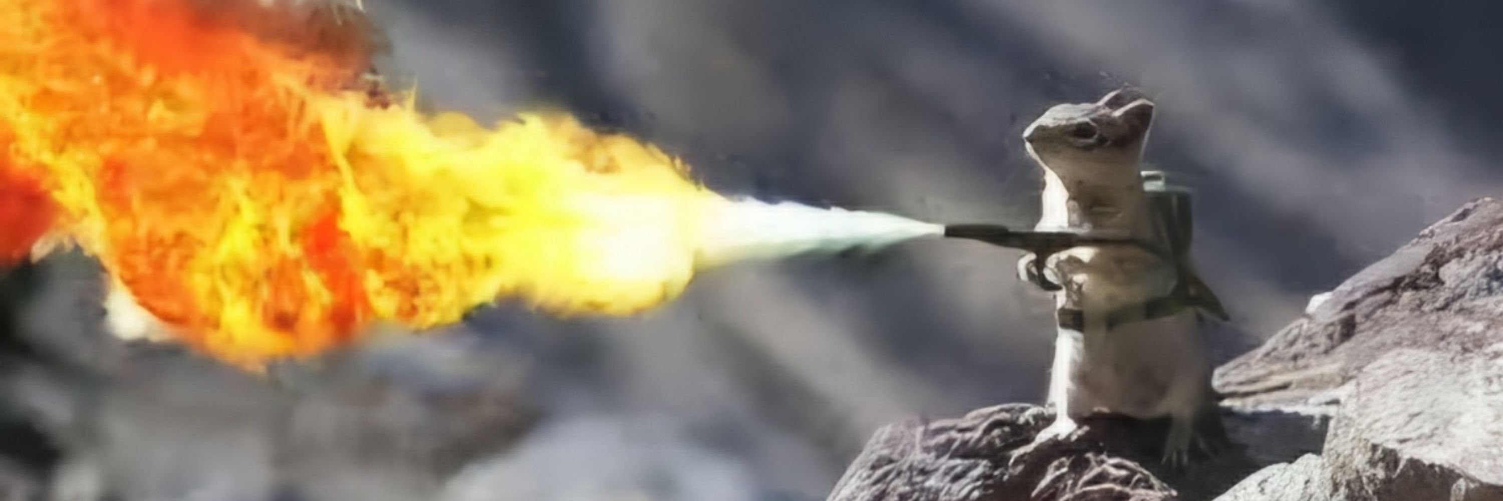 Angry squirrel playing with 🔥 !
