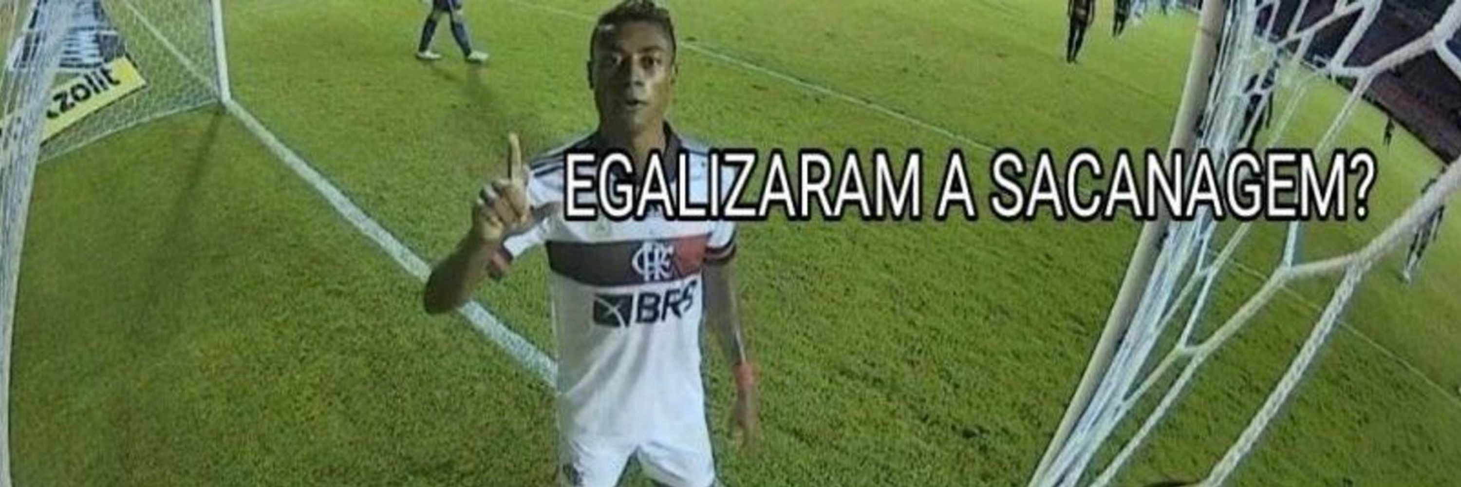 Gbi🦊