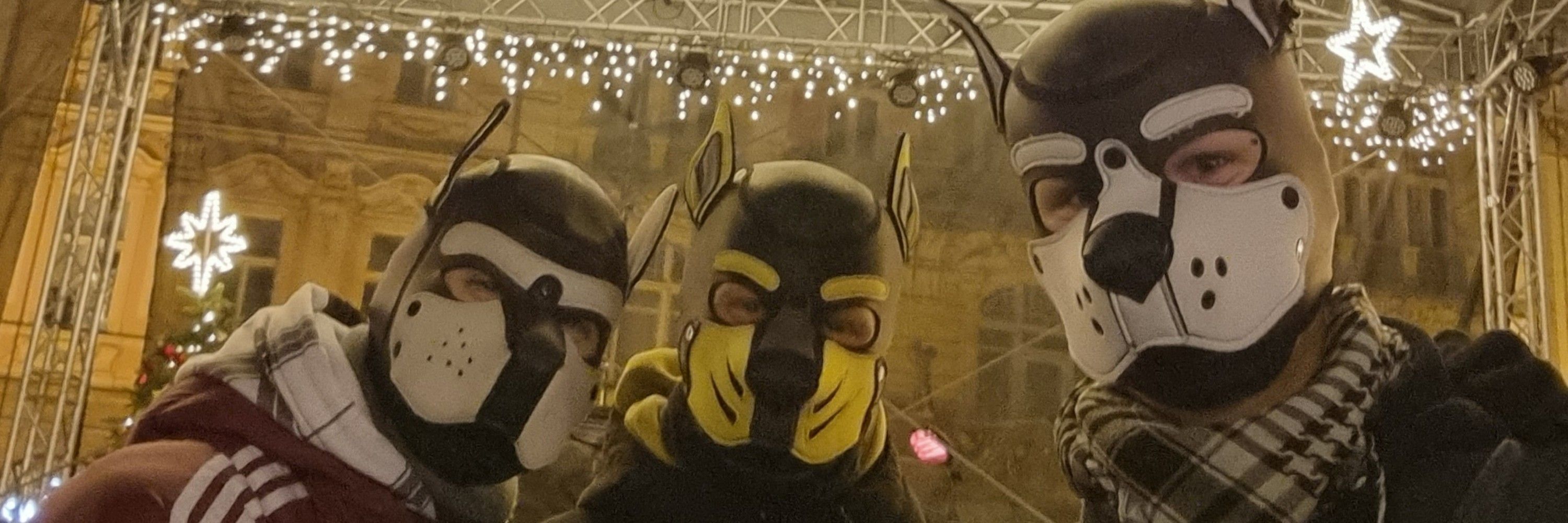 Puppy_Tomik