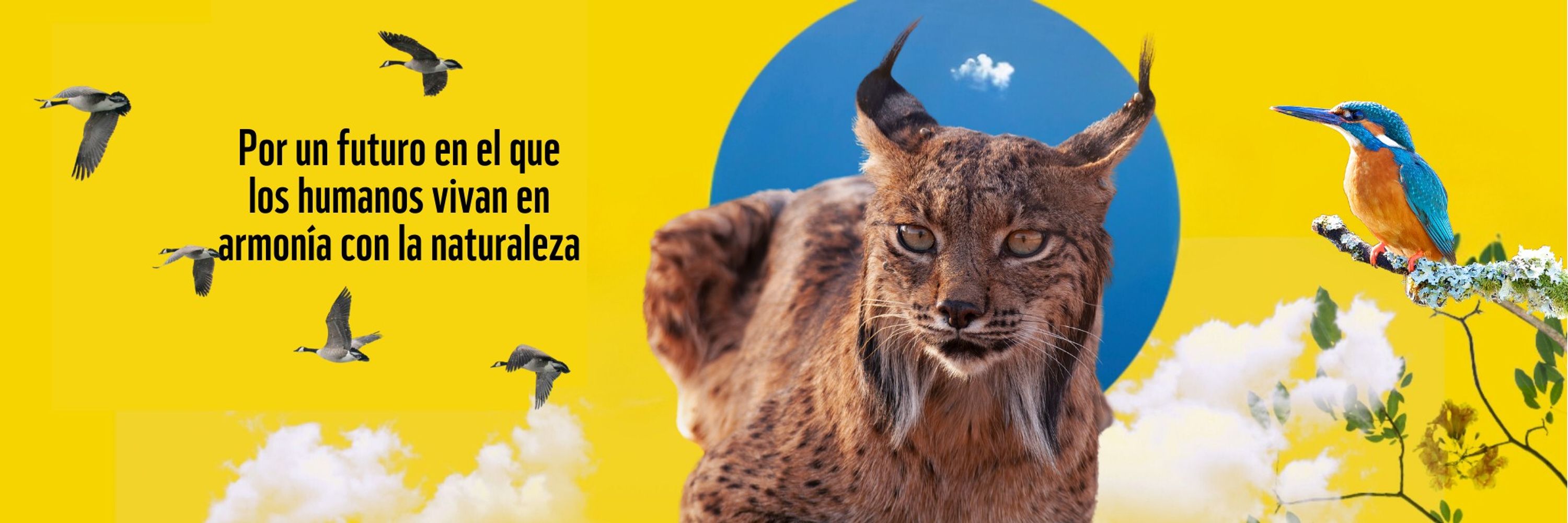 WWF España